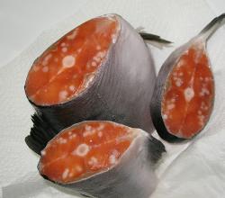 Salmon side effects